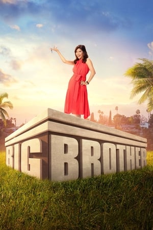 Big Brother Season 20