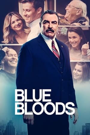 Blue Bloods Season 1