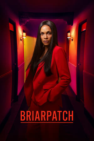 Briarpatch Season 1