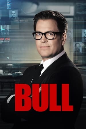 Bull Season 1