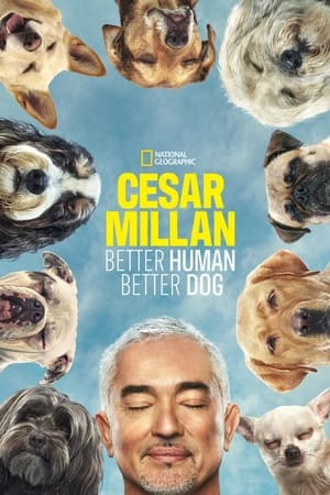 Cesar Millan: Better Human, Better Dog Season 1