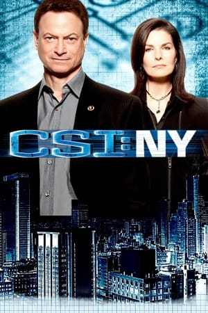 CSI: NY Season 9