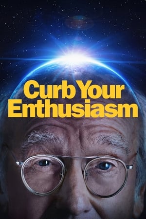 Curb Your Enthusiasm Season 7