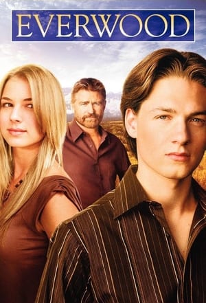 Everwood Season 4