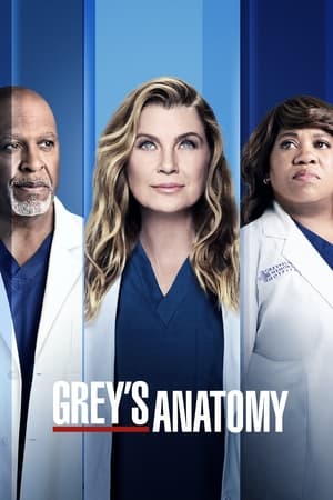 Grey's Anatomy Season 8