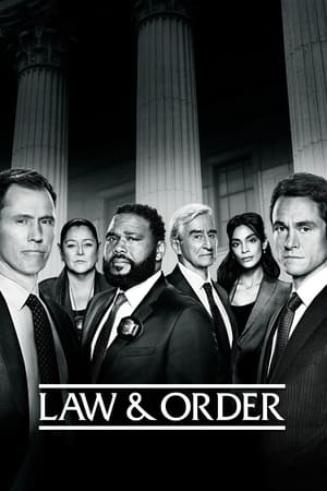 Law & Order Season 20