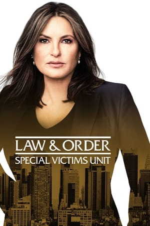 Law & Order: Special Victims Unit Season 13