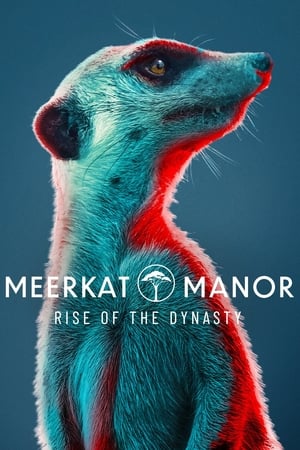 Meerkat Manor: Rise of the Dynasty Season 1