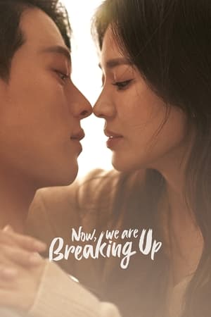 Now, We Are Breaking Up Season 1