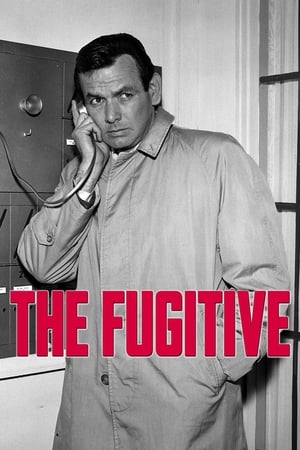The Fugitive Season 3