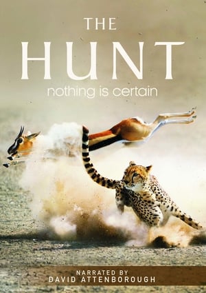The Hunt Season 1
