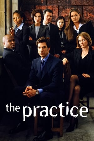 The Practice Season 2