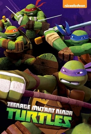 Teenage Mutant Ninja Turtles Season 1
