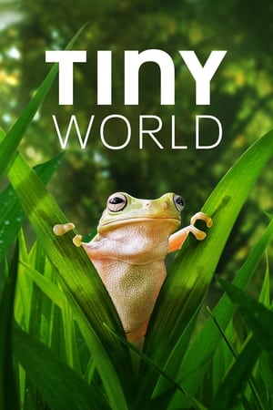 Tiny World Season 1