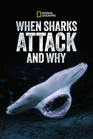 When Sharks Attack... and Why Season 1